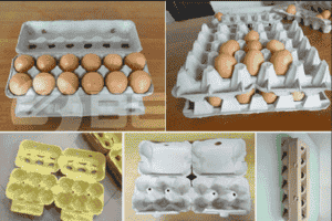 paper egg trays