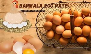 barwala egg rate 